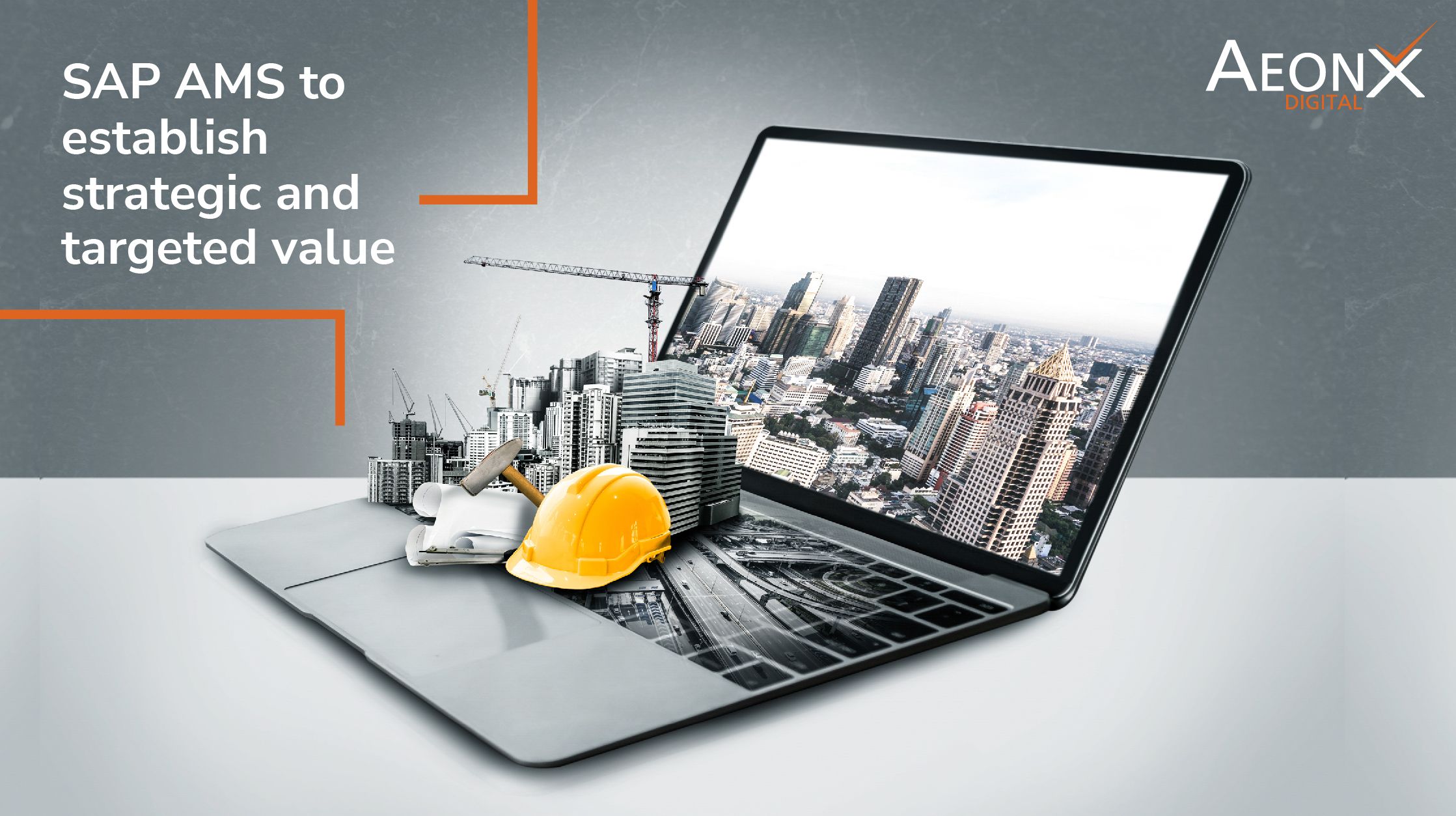 SAP AMS to establish strategic and targeted value.